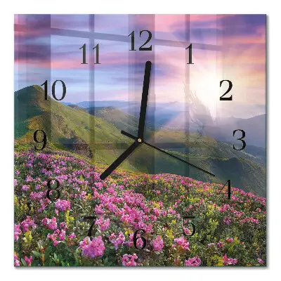 Moderne wandklok glas vierkant Landschap
