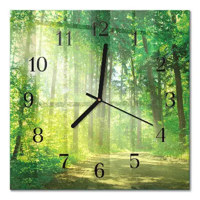 Moderne wandklok glas vierkant Bosnatuur