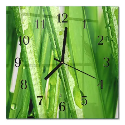 Moderne wandklok glas vierkant Gras