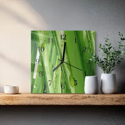 Moderne wandklok glas vierkant Gras