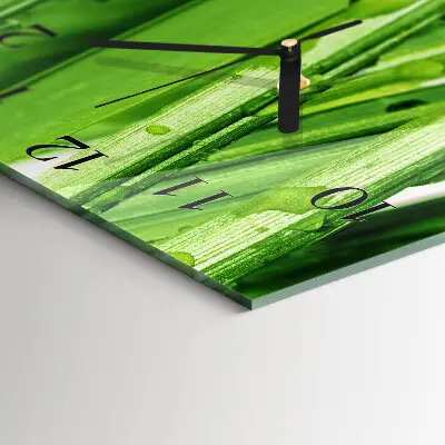 Moderne wandklok glas vierkant Gras