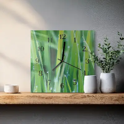 Decoratieve glazen klok vierkant Gras