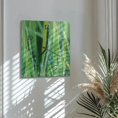 Decoratieve glazen klok vierkant Gras