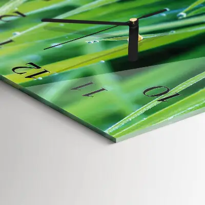 Decoratieve glazen klok vierkant Gras