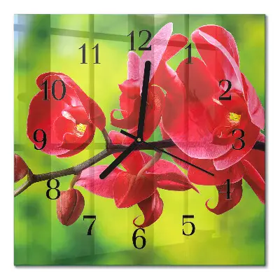 Moderne wandklok glas vierkant Orchidee