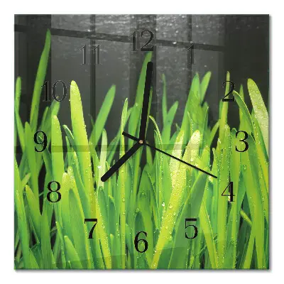 Moderne wandklok glas vierkant Gras