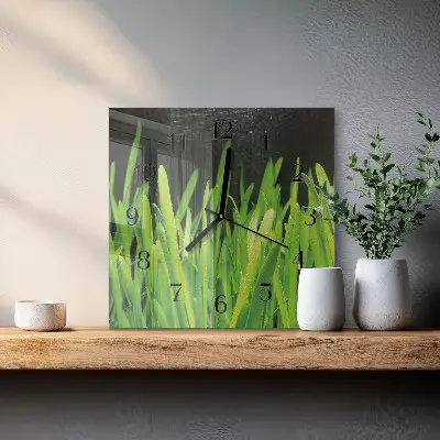 Moderne wandklok glas vierkant Gras