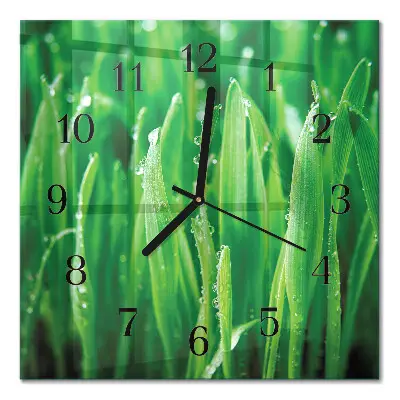 Vierkante glas klok Groen gras