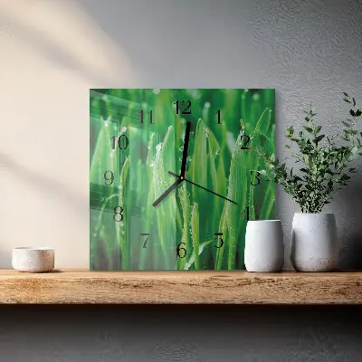 Vierkante glas klok Groen gras
