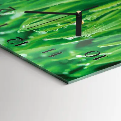 Vierkante glas klok Groen gras