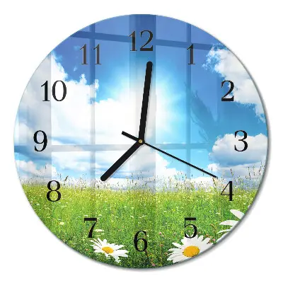 Wandklok glas decoratie rond Weidebloemen