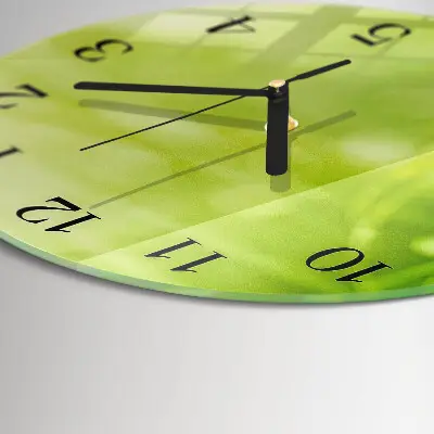 Wandklok glas decoratie rond Gras