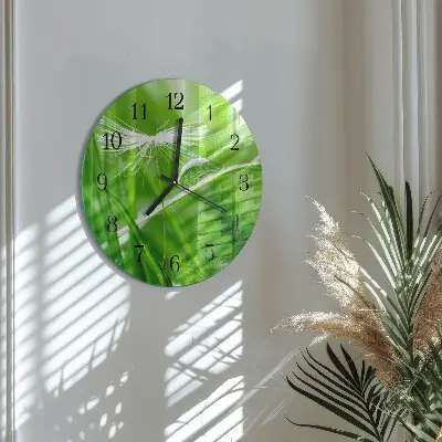 Ronde glas klok Gras