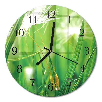 Ronde glazen wandklok Gras