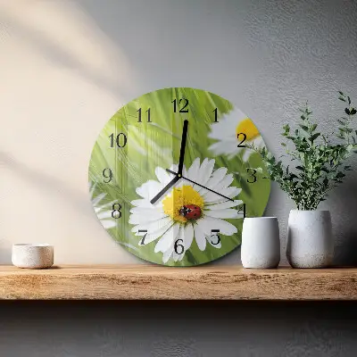 Ronde glas klok Madeliefjes
