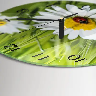 Ronde glas klok Madeliefjes