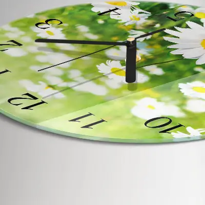 Wandklok glas decoratie rond Madeliefjes
