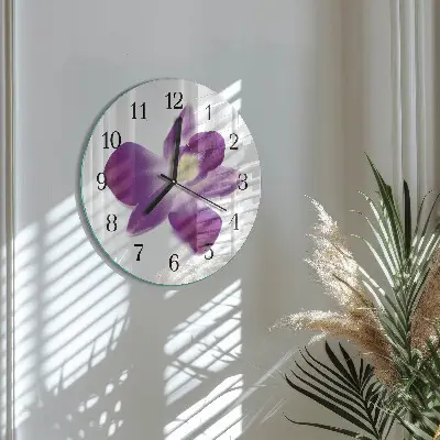 Ronde glazen klok Orchideebloem