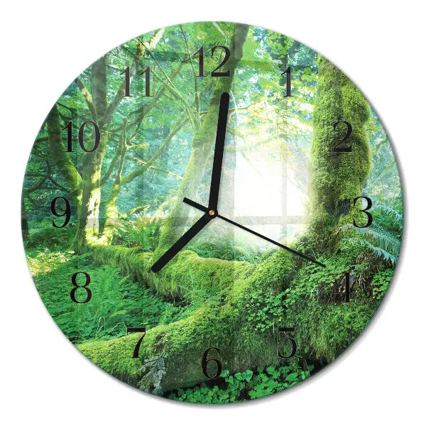 Ronde glas klok Bosmos