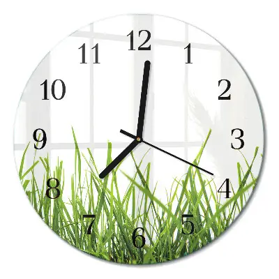 Wandklok glas decoratie rond Gras