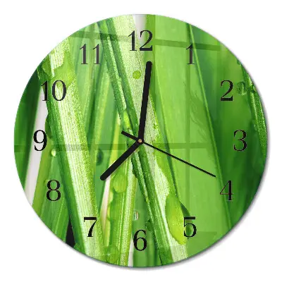 Wandklok glas decoratie rond Gras