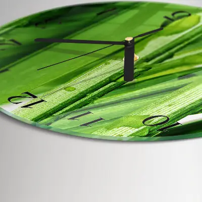 Wandklok glas decoratie rond Gras