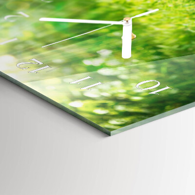 Horizontale wandklok glas Mand met appels