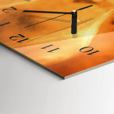 Rechthoekige glas klok verticaal Cafeïnebonen