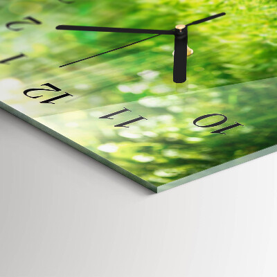 Horizontale glazen wandklok Mand met appels