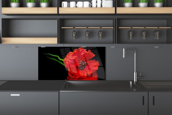 Wit of zwart keukenpaneel - welke moet je kiezen?