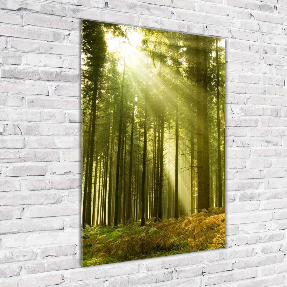 hoe je een acrylschilderij inlijst