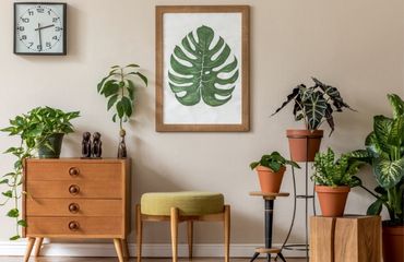 Hoe je huis in de stijl van urban jungle decoreren? Urban jungle zonder geheimen