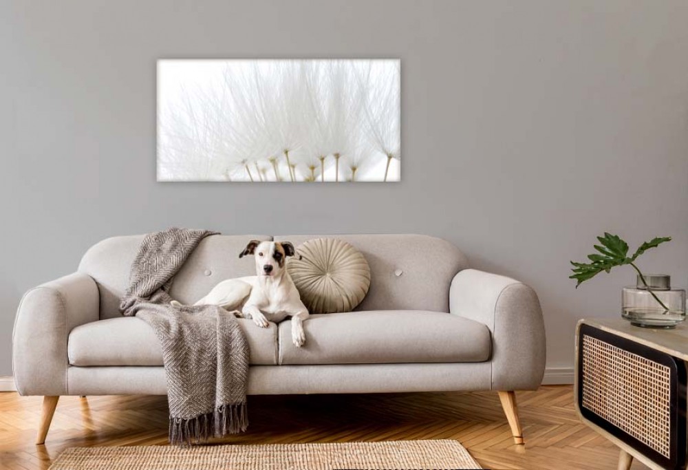 interieurkleur van het jaar 2026