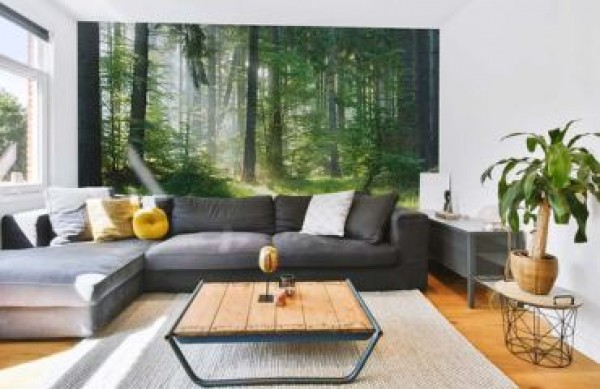 Fotobehang voor de woonkamer - hoe je het perfecte motief kiest en een unieke ruimte creëert