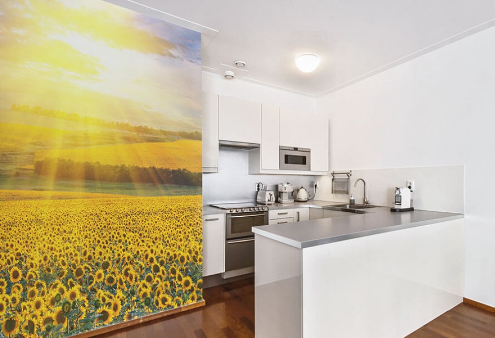 De muur in de keuken zonder renovatie