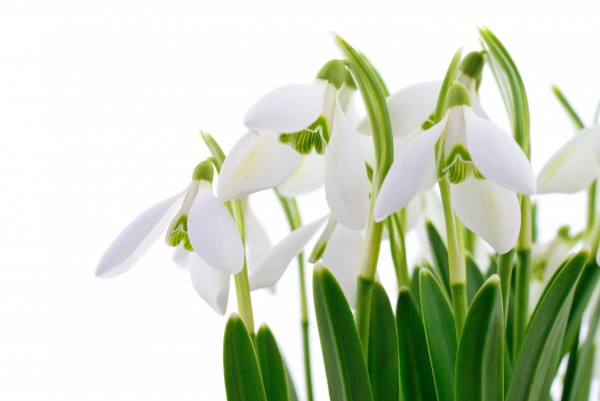 Acryl-lente – lente-wanddecoraties die je interieur opfleuren